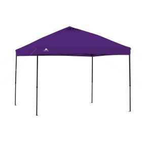 10' x 10' Purple Instant Outdoor Canopy with Heavy Duty Construction - Purple