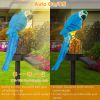 Solar Powered Parrot Garden Light IP65 Waterproof LED Parrot Landscape Lamp Decorative Lawn Lights - Blue Parrot