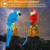 Solar Powered Parrot Garden Light IP65 Waterproof LED Parrot Landscape Lamp Decorative Lawn Lights - Blue Parrot