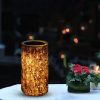 Outdoor Landscape Lamp Outdoor Waterproof Solar LED Landscape Light Stump Light--YS - as picture